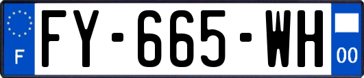 FY-665-WH