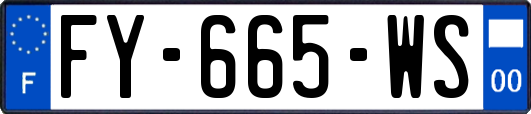 FY-665-WS