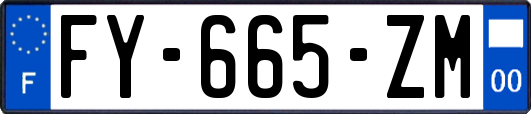 FY-665-ZM