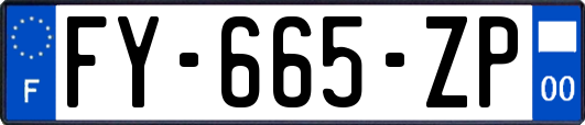 FY-665-ZP