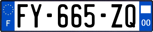 FY-665-ZQ