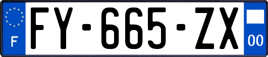 FY-665-ZX