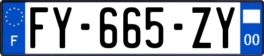 FY-665-ZY