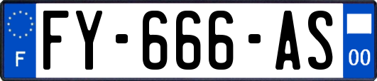 FY-666-AS
