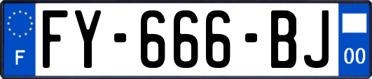 FY-666-BJ