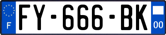FY-666-BK