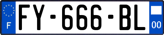FY-666-BL