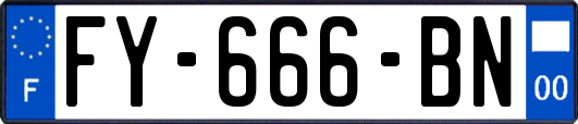 FY-666-BN