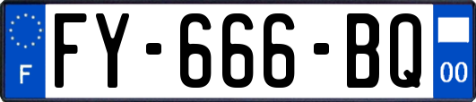 FY-666-BQ
