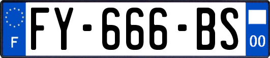 FY-666-BS