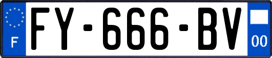 FY-666-BV