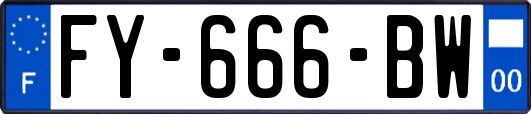 FY-666-BW