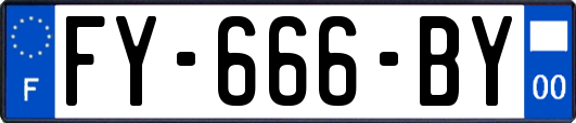 FY-666-BY