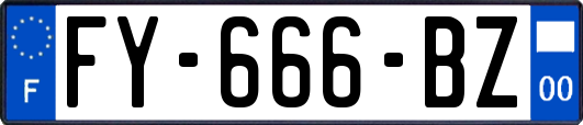 FY-666-BZ
