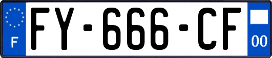 FY-666-CF
