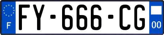 FY-666-CG