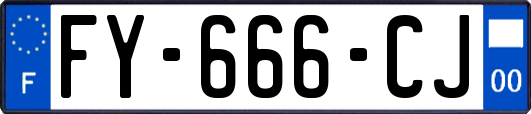 FY-666-CJ