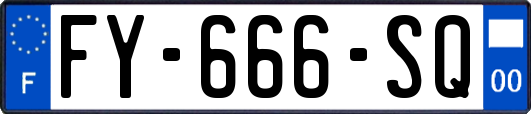 FY-666-SQ