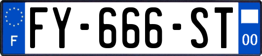 FY-666-ST