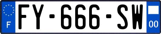 FY-666-SW