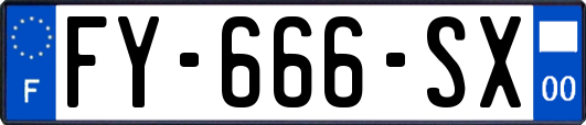 FY-666-SX