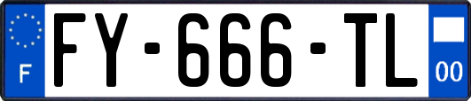 FY-666-TL