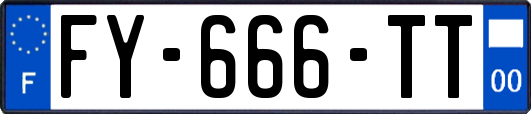 FY-666-TT
