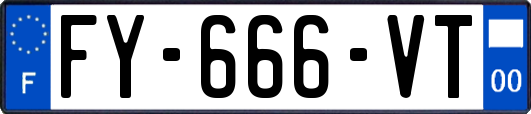 FY-666-VT