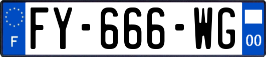 FY-666-WG