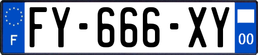 FY-666-XY