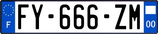 FY-666-ZM