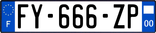 FY-666-ZP
