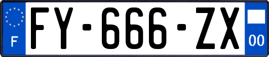 FY-666-ZX