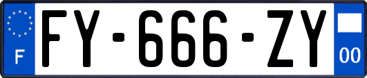 FY-666-ZY