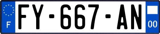 FY-667-AN
