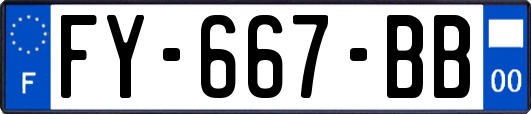 FY-667-BB