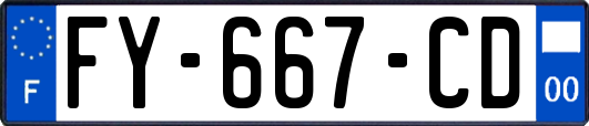 FY-667-CD