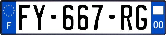 FY-667-RG