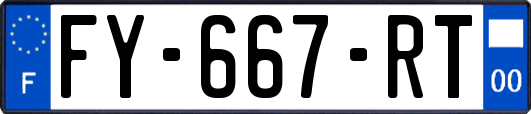 FY-667-RT