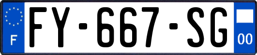 FY-667-SG