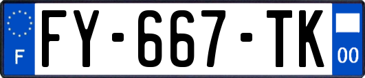 FY-667-TK