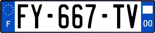 FY-667-TV