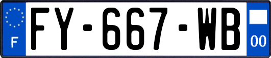 FY-667-WB