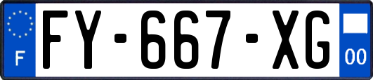 FY-667-XG