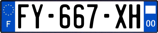 FY-667-XH