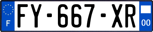 FY-667-XR
