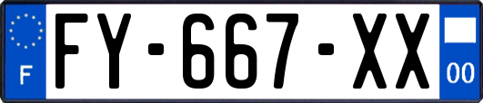 FY-667-XX