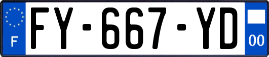 FY-667-YD