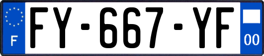 FY-667-YF