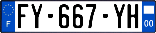 FY-667-YH